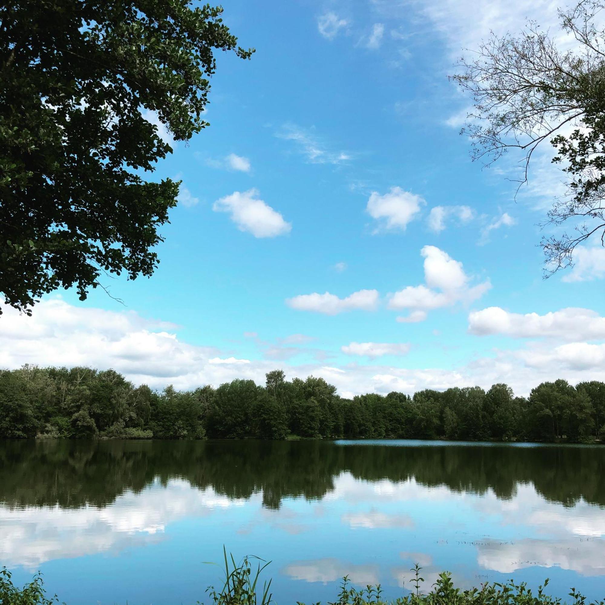 Gite De La Cote A Autreville Sur Moselle Exterior foto