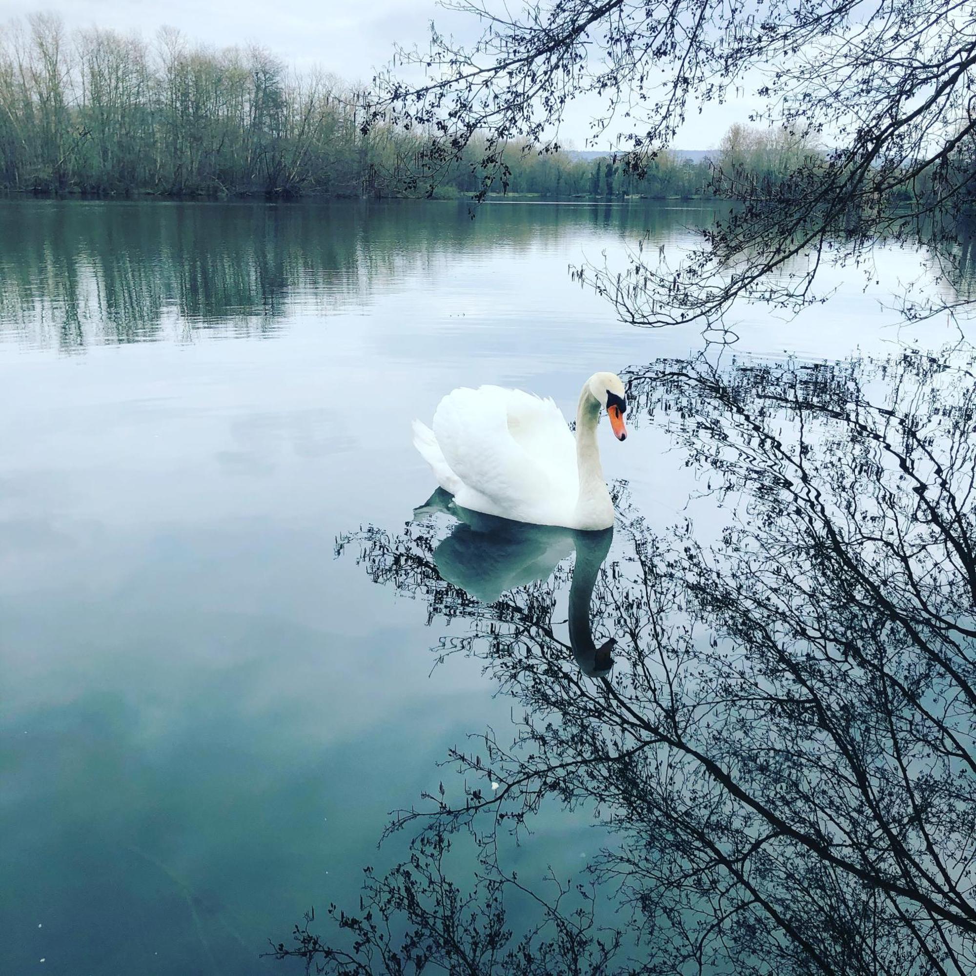Gite De La Cote A Autreville Sur Moselle Exterior foto